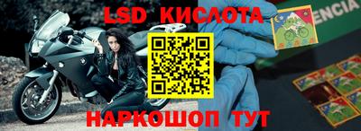 хмурый Кингисепп