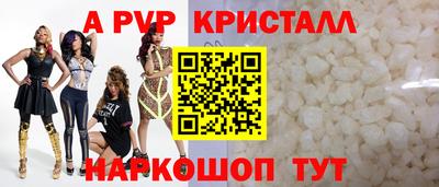 хмурый Кингисепп