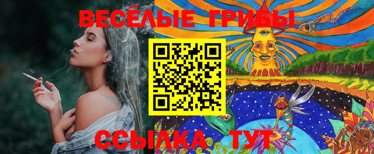 Лесозаводск  Галлюциногенные грибы мицелий  Вход с VPN 